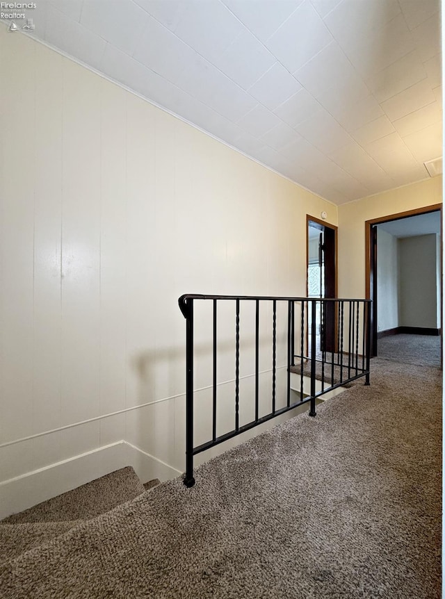 staircase featuring carpet floors