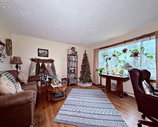 living room with wood finished floors