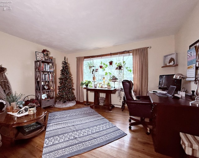 home office featuring wood finished floors