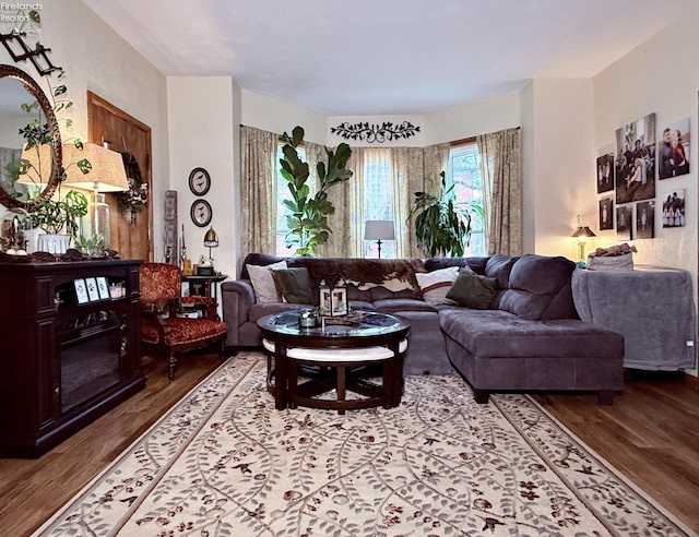 living room with wood finished floors