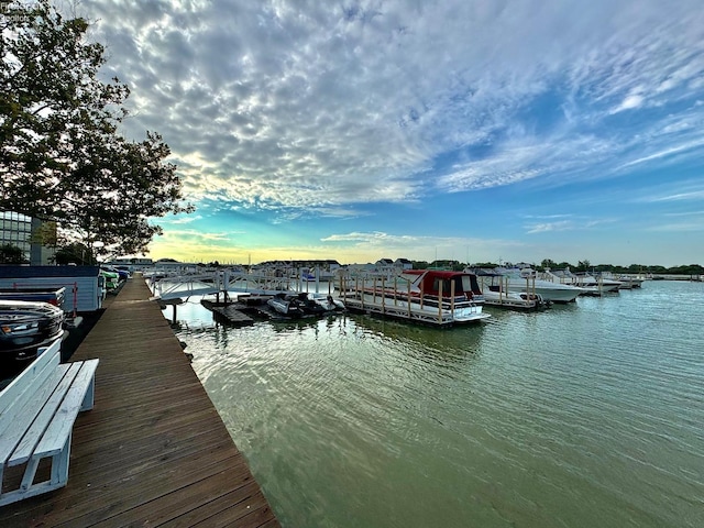 dock area with a water view