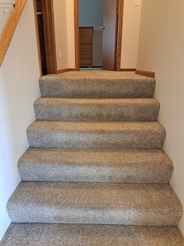 staircase featuring carpet