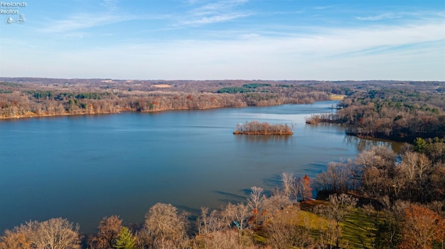 property view of water with a view of trees