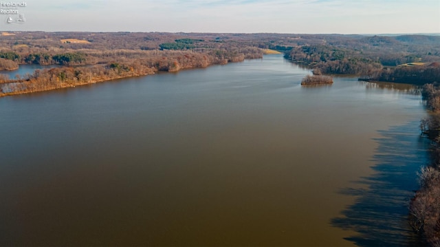 bird's eye view featuring a water view and a wooded view