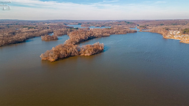 birds eye view of property with a forest view and a water view