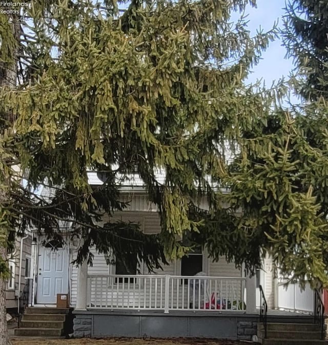 view of property hidden behind natural elements featuring entry steps and a porch