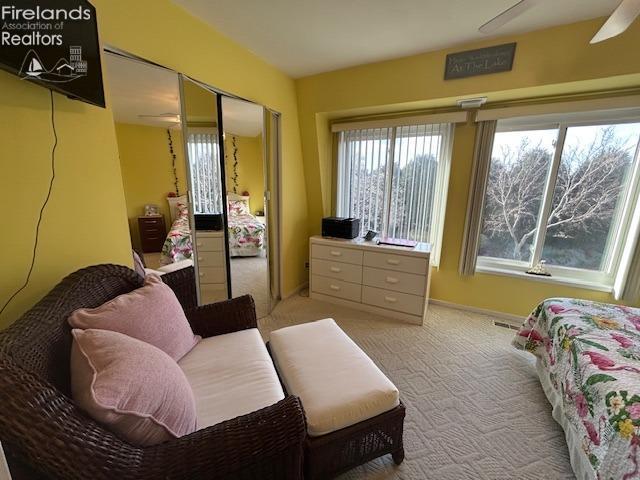 carpeted bedroom featuring a closet