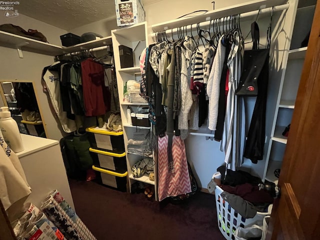 walk in closet featuring carpet floors