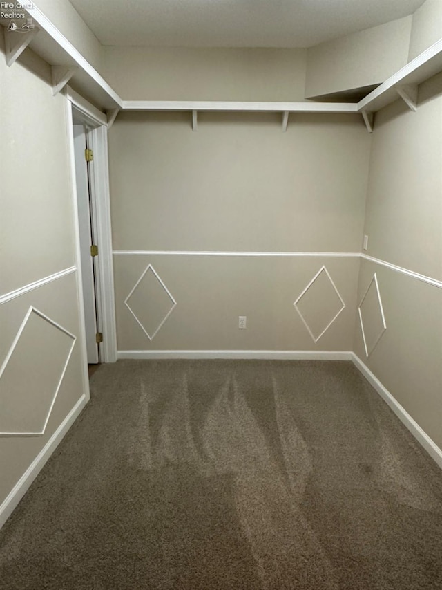 spacious closet with carpet