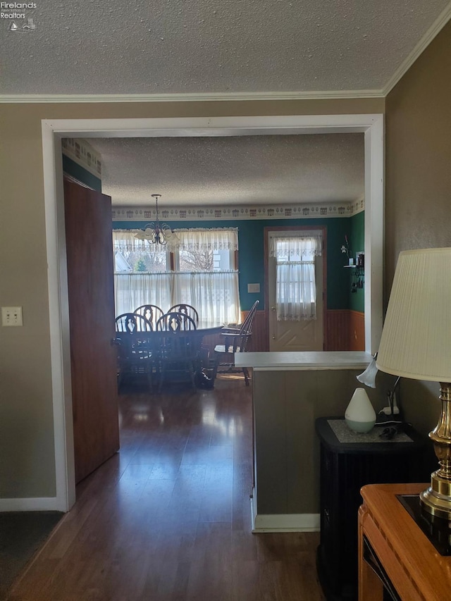 hallway featuring dark wood finished floors, a textured ceiling, and crown molding