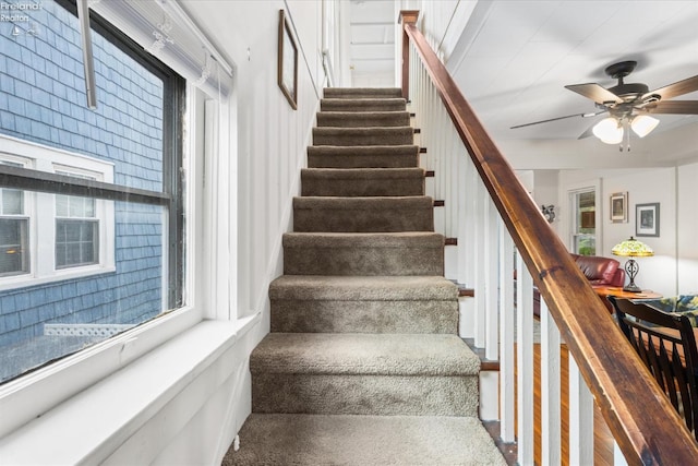 staircase featuring a ceiling fan