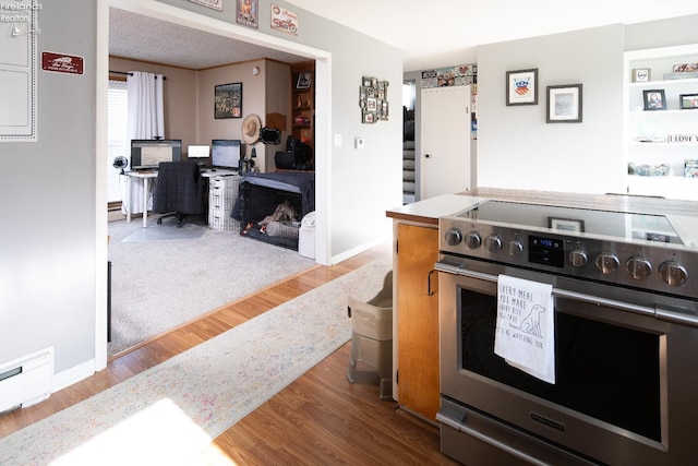 5041 State Route 99, Monroeville, OH 44847 - kitchen with a baseboard radiator, stainless steel range with electric stovetop, baseboards, and wood finished floors