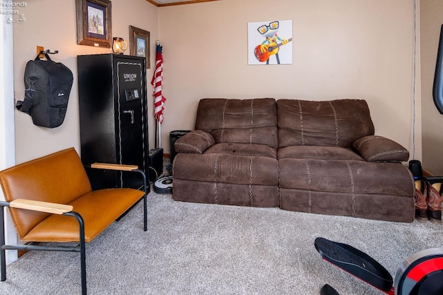 5041 State Route 99, Monroeville, OH 44847 - living room with carpet