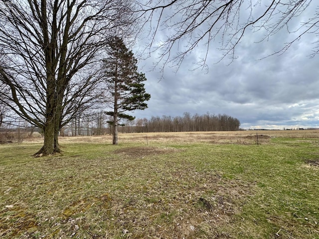 view of yard featuring a rural view