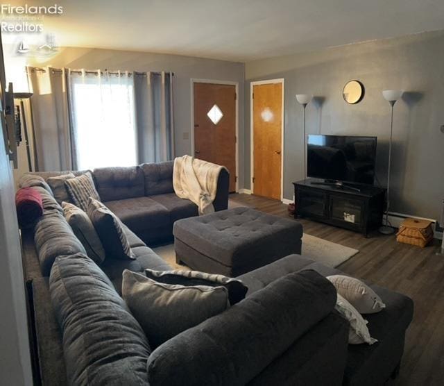 living room with wood finished floors