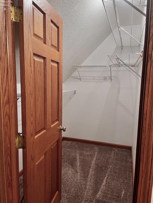 6276 County Road 33, Helena, OH 43435 - walk in closet featuring carpet and vaulted ceiling
