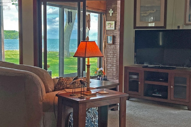 208 Johanna Ln, Kelleys Island, OH 43438 - living area featuring carpet floors, a water view, and a healthy amount of sunlight