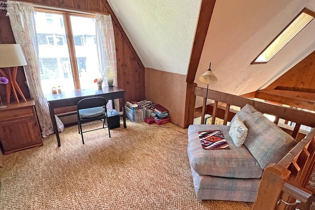 208 Johanna Ln, Kelleys Island, OH 43438 - carpeted office space featuring a textured ceiling and vaulted ceiling
