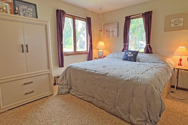 208 Johanna Ln, Kelleys Island, OH 43438 - bedroom featuring multiple windows