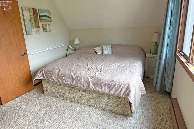 208 Johanna Ln, Kelleys Island, OH 43438 - bedroom with carpet flooring, vaulted ceiling, and a baseboard radiator