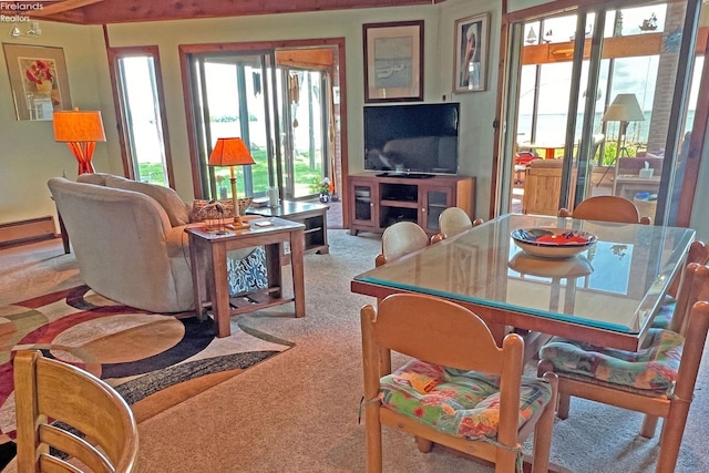 208 Johanna Ln, Kelleys Island, OH 43438 - living room featuring baseboard heating and carpet floors