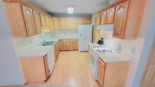 100 Grand Ave, Clyde, OH 43410 - kitchen featuring decorative backsplash, white appliances, under cabinet range hood, a sink, and light wood-type flooring
