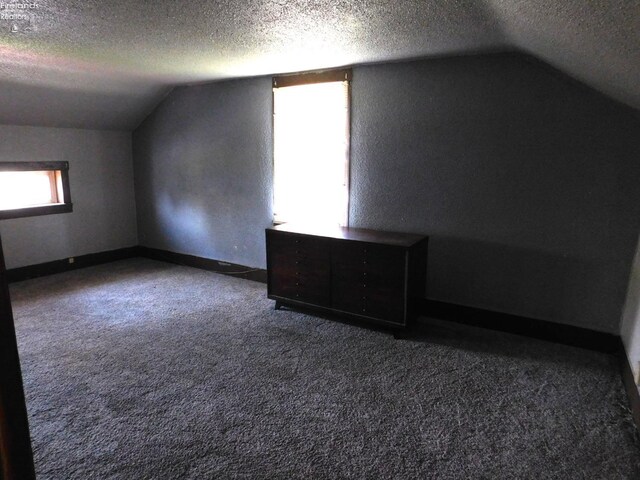 29 Walker St, Tiffin, OH 44883 - bonus room with a textured ceiling, a textured wall, baseboards, dark carpet, and lofted ceiling
