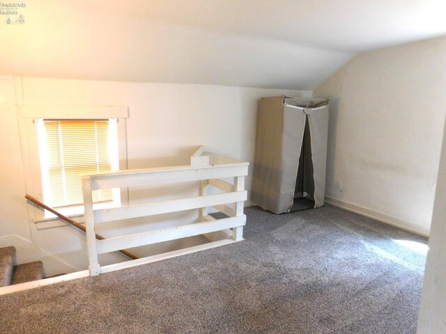 29 Walker St, Tiffin, OH 44883 - additional living space featuring lofted ceiling, baseboards, and carpet