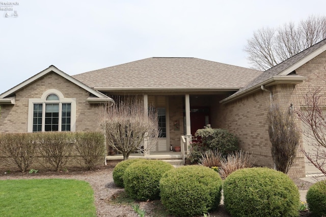 79 Ridgeview Cir, Milan, OH 44846 - entrance to property with brick siding, a shingled roof, and covered porch