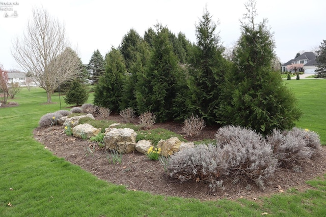 79 Ridgeview Cir, Milan, OH 44846 - view of yard