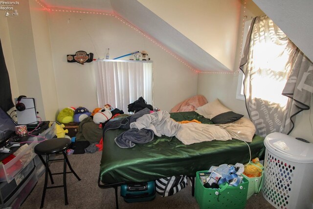 3510 Ohio St, Sandusky, OH 44870 - bedroom with lofted ceiling and carpet floors