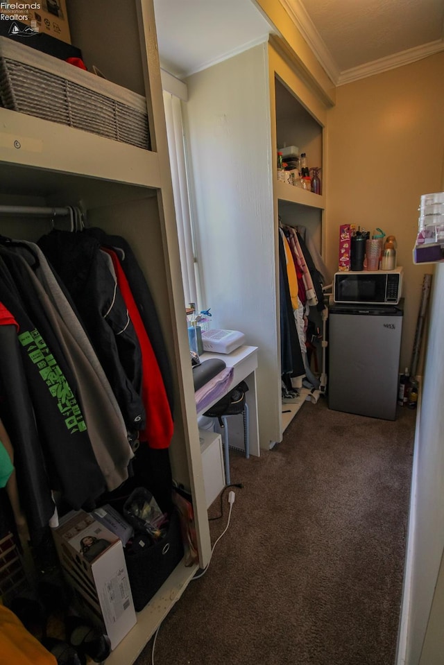 3510 Ohio St, Sandusky, OH 44870 - laundry room featuring crown molding and carpet floors