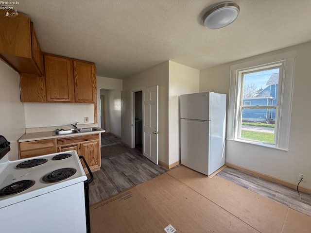 kitchen with a sink, brown cabinetry, light wood-style flooring, and white appliances
