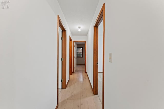 1001 Birchwood Dr, Sandusky, OH 44870 - corridor featuring baseboards and light wood finished floors