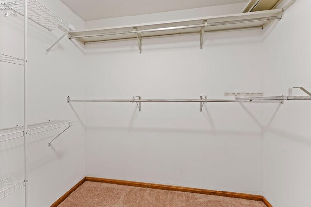 1001 Birchwood Dr, Sandusky, OH 44870 - spacious closet featuring light colored carpet