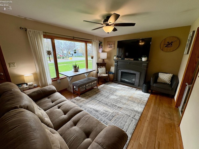 living room featuring a glass covered fireplace, a ceiling fan, and wood finished floors
