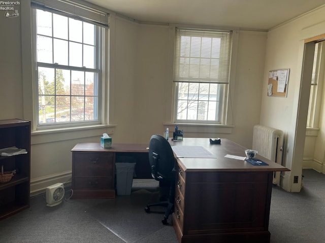 carpeted office space with a wealth of natural light and radiator heating unit