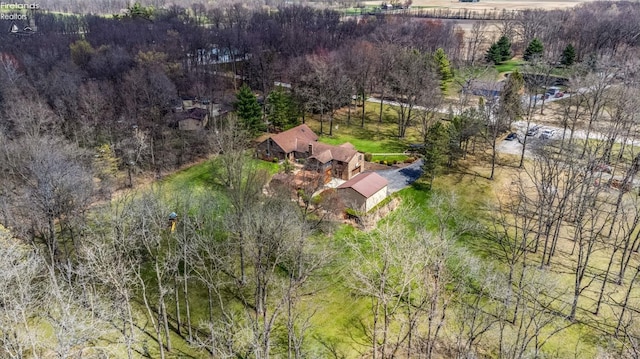 drone / aerial view
