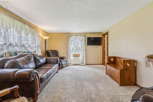 living room featuring baseboards, carpet floors, and a wealth of natural light