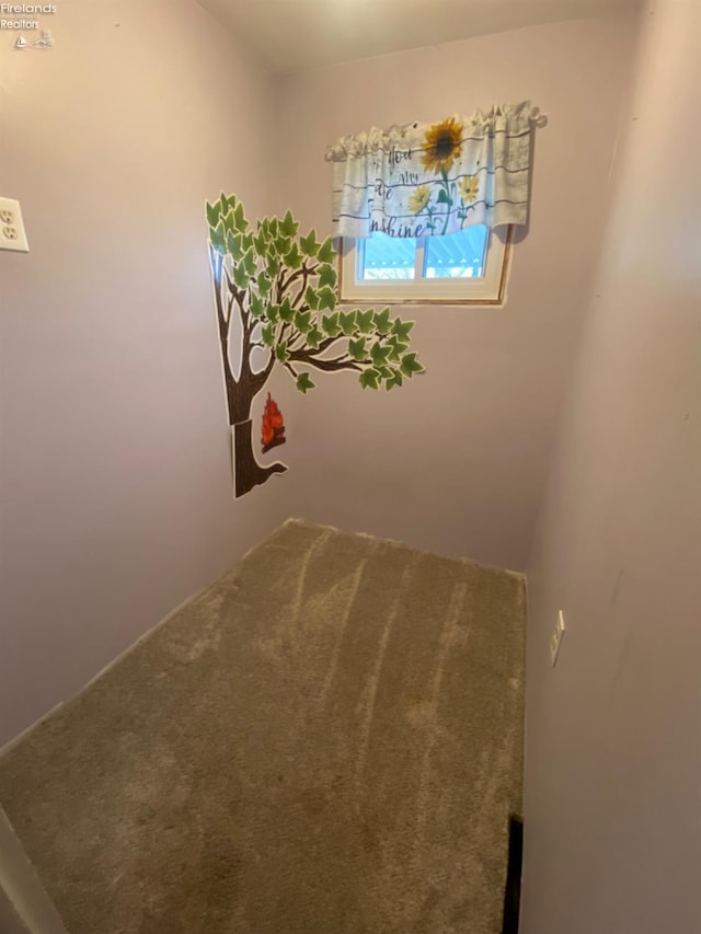 457 Morrison St, Fremont, OH 43420 - laundry area featuring carpet floors