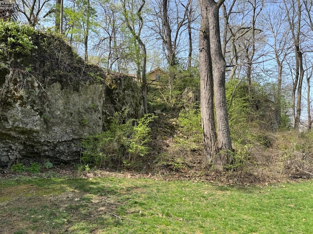 view of nature