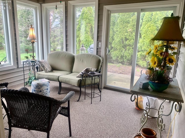 sunroom with carpet flooring