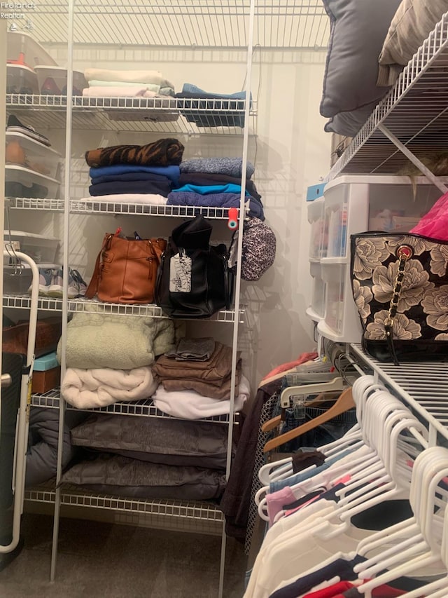 view of spacious closet