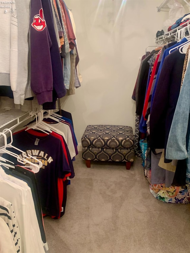 spacious closet featuring carpet floors
