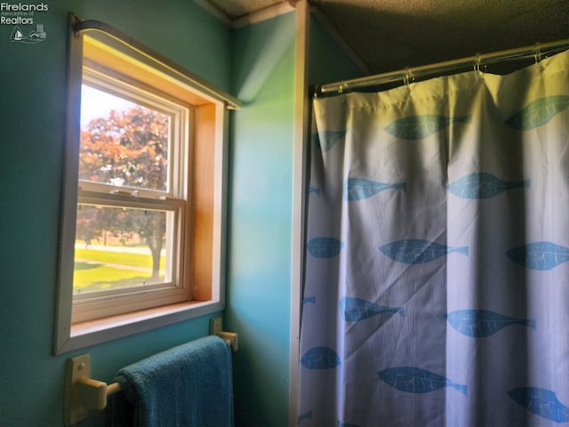 1501 E State St, Port Clinton, OH 43452 - bathroom with healthy amount of natural light and a shower with curtain