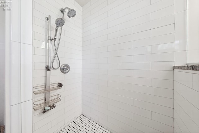 2951 N Chickadee Prt, Clinton, OH 43452 - bathroom with tiled shower