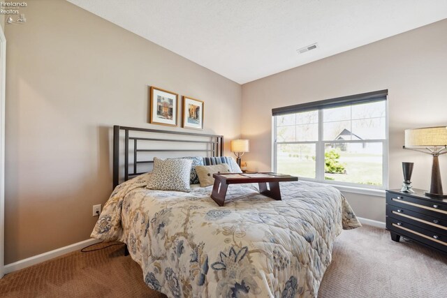 4220 Mckenna Ln, Port Clinton, OH 43452 - carpeted bedroom featuring visible vents and baseboards