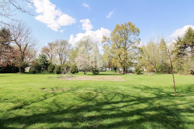 624 Shumaker Dr, Bellevue, OH 44811 - view of yard
