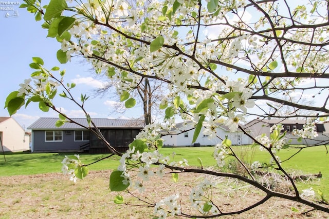 624 Shumaker Dr, Bellevue, OH 44811 - view of yard