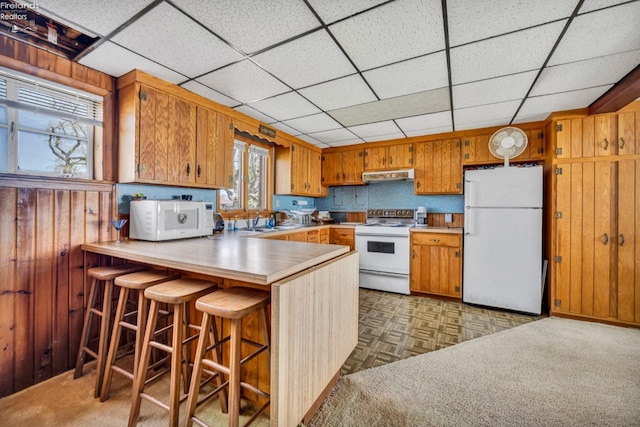 1270 Deist Rd, Middle Bass Island, OH 43446 - kitchen featuring brown cabinetry, white appliances, under cabinet range hood, and light countertops